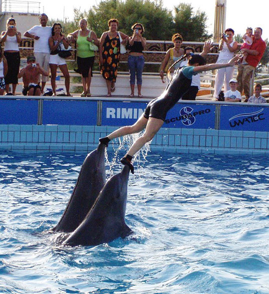 Orse, ruglamerda e delfinario, ovvero l’inquietante ideologia animalista