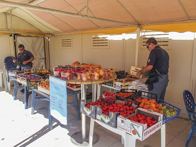 Il fruttivendolo da spiaggia non sapeva che non si può vendere merce non contraffatta?