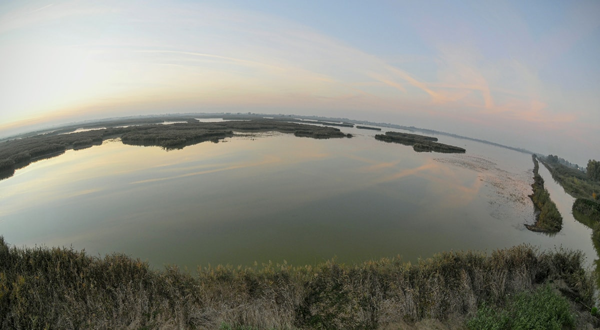 La fotografia: tramonto nella laguna di Ravenna
