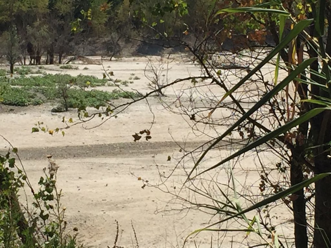 In Valmarecchia fai fatica a farti la doccia, ma in spiaggia c’è acqua in quantità