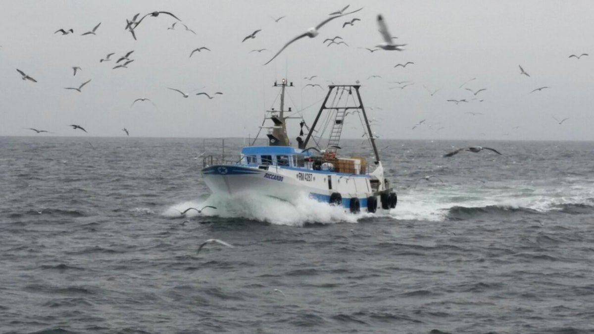 Quando la nostra marineria aveva dieci pescherecci per il pesce azzurro