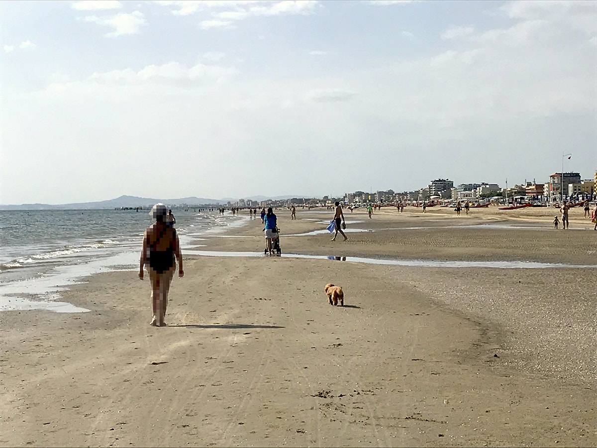 Mare “dog friendly”: più facile annunciarlo che attrezzarlo