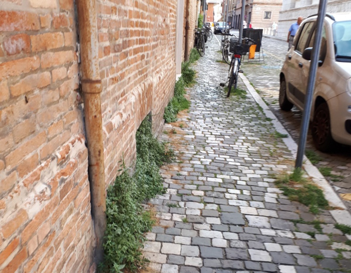 Via Leon Battista Alberti: là dove c’era l’erba… c’è ancora