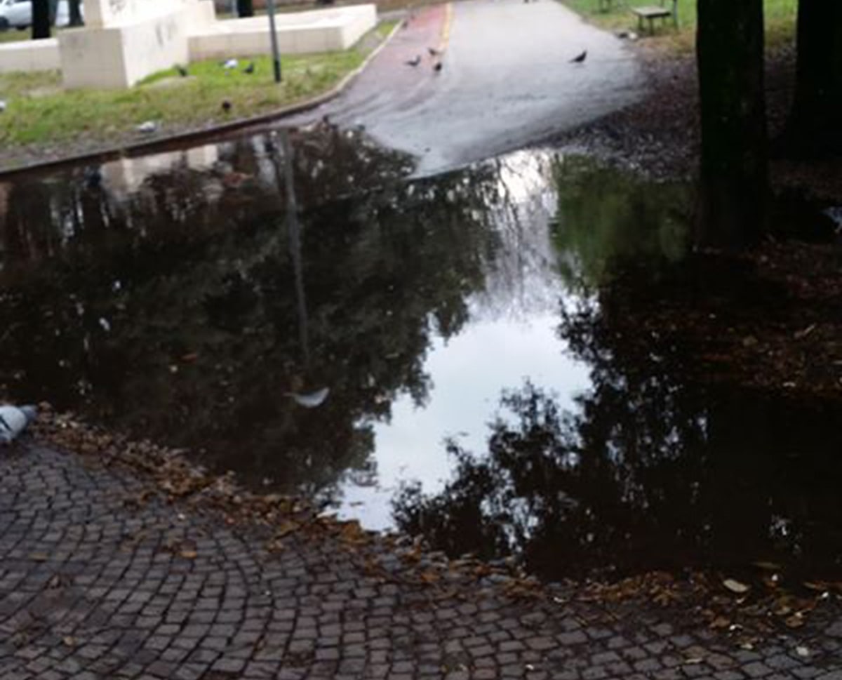 Acqua alta al parco Cervi