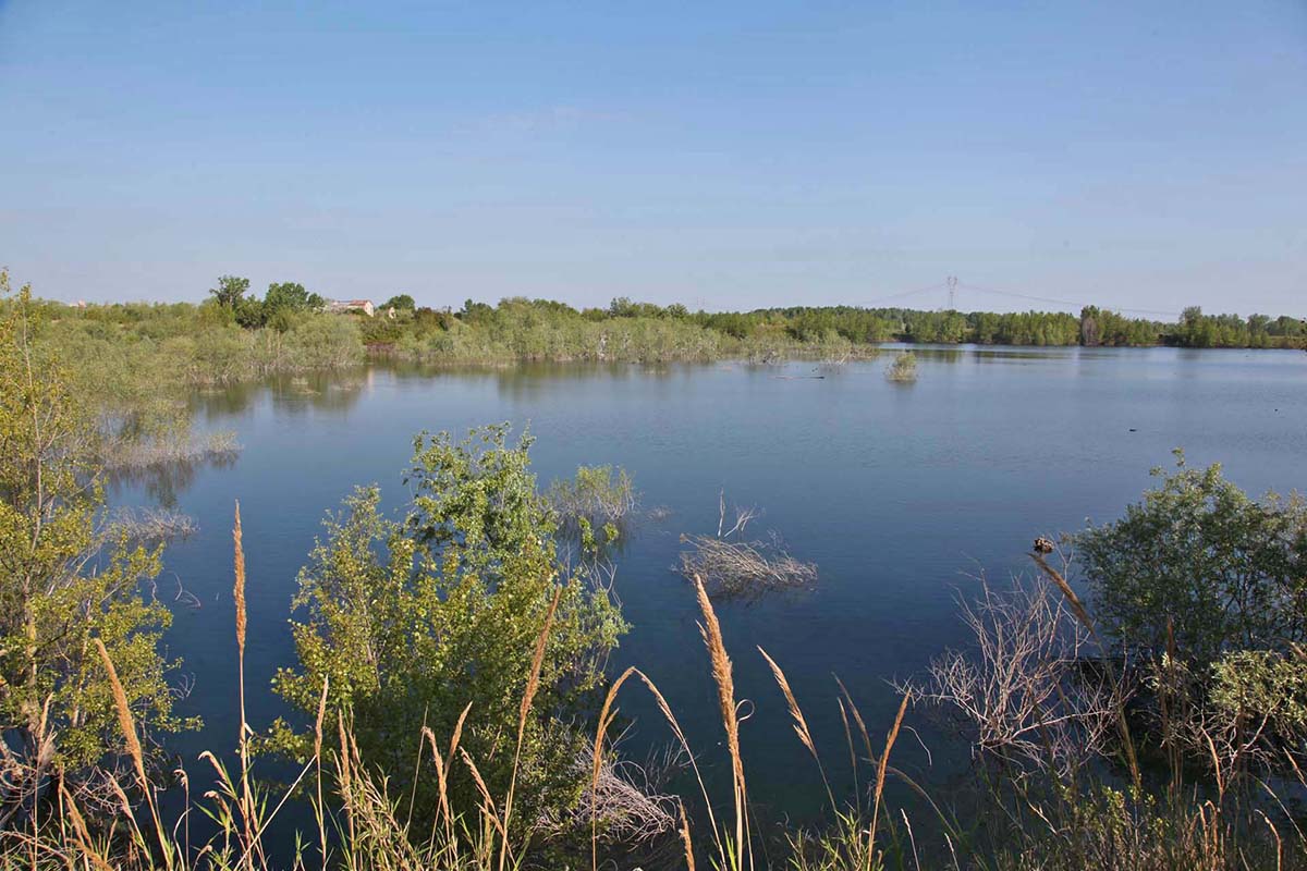 Il fiume Marecchia: la crisi delle falde idriche e l’erosione delle spiagge