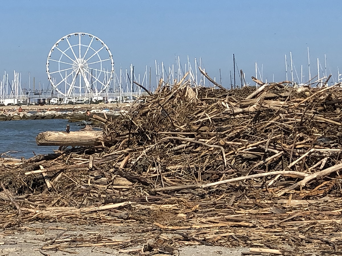 San Giuliano mare ancora invasa dai tronchi