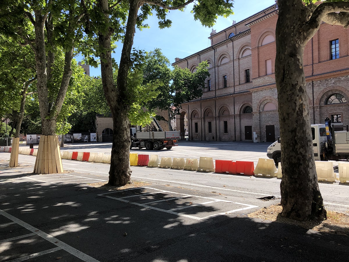 Piazza Malatesta, gli alberi hanno i giorni contati?