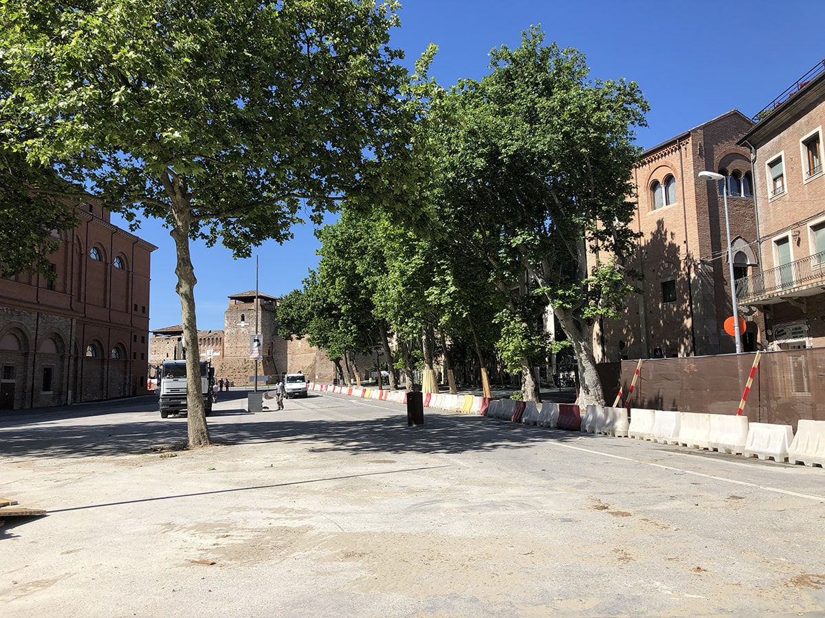 Colpo di scena: sugli alberi di piazza Malatesta qualcuno non la racconta giusta