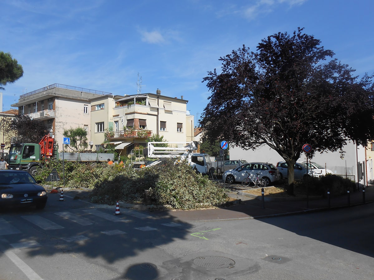 E giù alberi: i nuovi caduti erano in via Bastioni Settentrionali