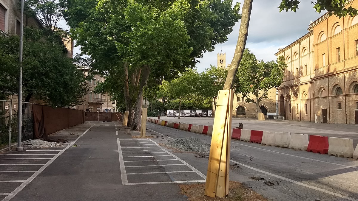 “Sindaco, non faccia tagliare gli alberi di piazza Malatesta”