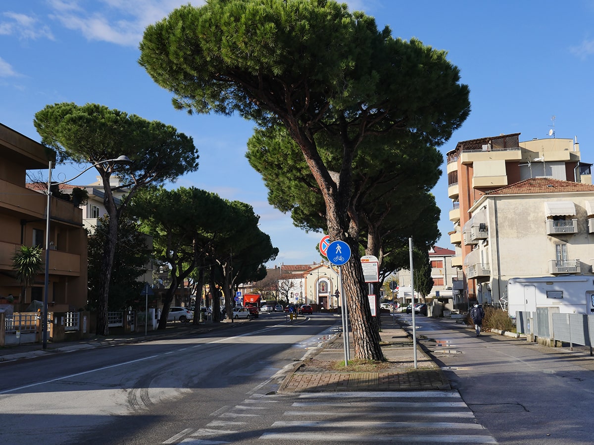 Quanti alberi verranno abbattuti col Metromare dalla stazione alla Fiera?