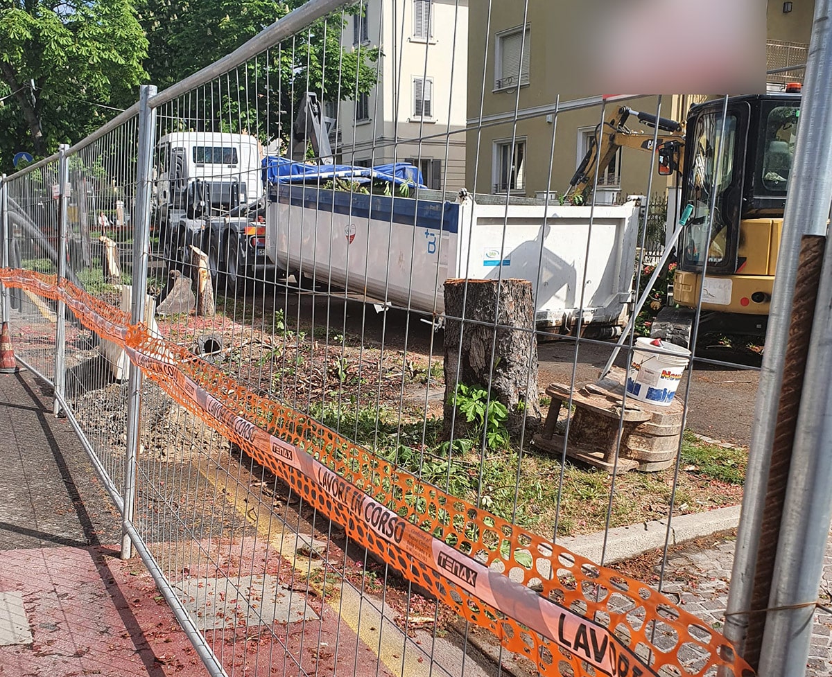 Alberi abbattuti: «torno subito» ma anche «addio per sempre»